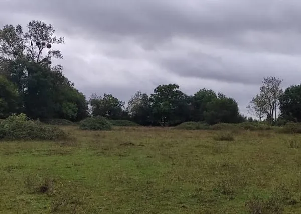 Terrain 759 m²