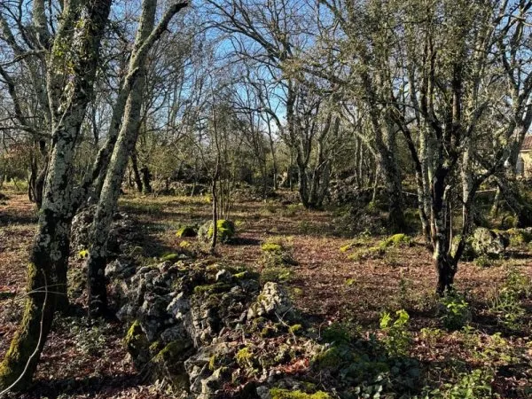 Terrain constructible