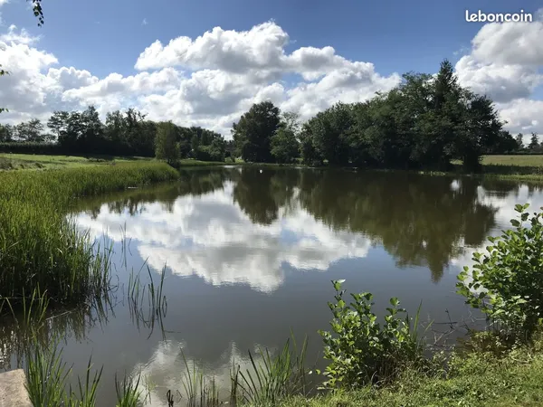 Terrain 19102 m² Vitry-en-Charollais