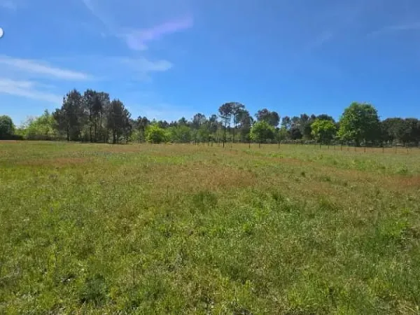 Terrain 2 300 m² à vendre à Saint-Savin (33920)