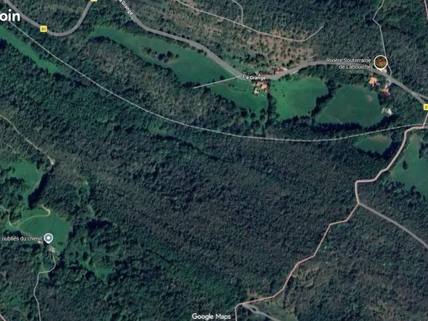 Foret de 34ha dont 4 ha en prairie