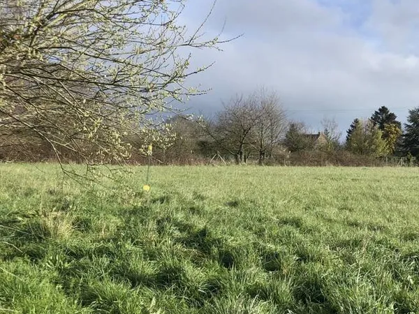 Terrain 700 m²