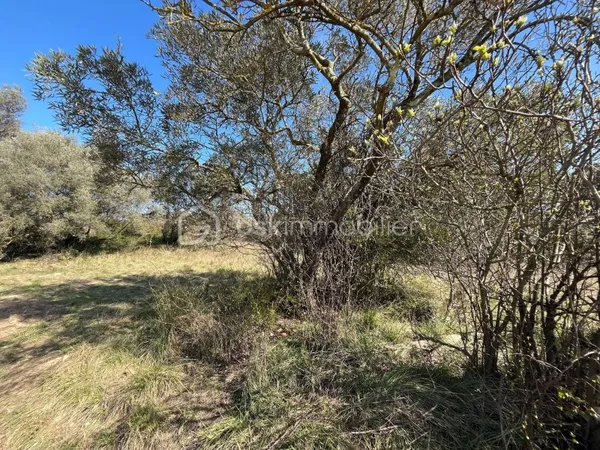 Terrain 854 m²
