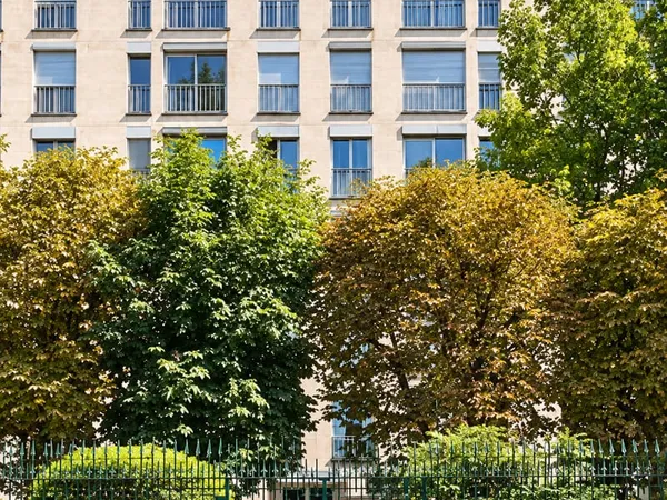 Appartement 4 pièces 85 m²