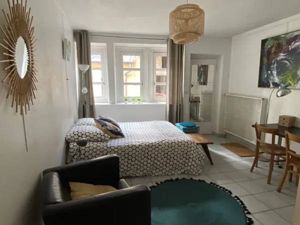 Loue studio 24m² Lyon hypercentre - 1 chambre