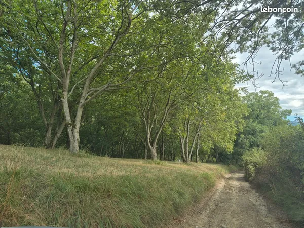 Terrains AGRICOLE