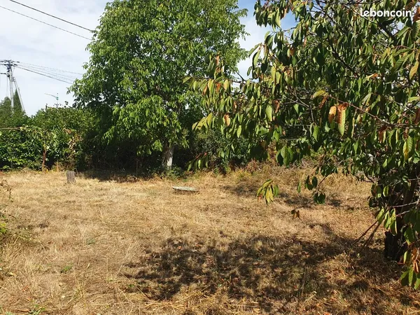 Terrain Constructible