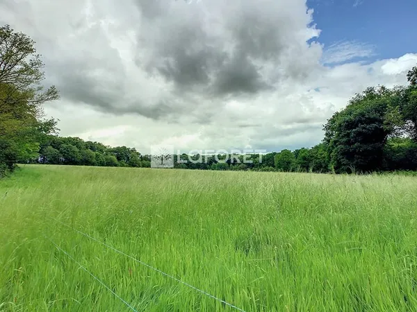 Terrain Paimpont 40700 m2