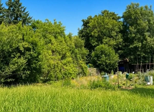 Terrain 689 m²