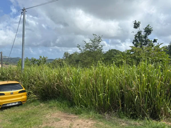 Terrain 593 m²