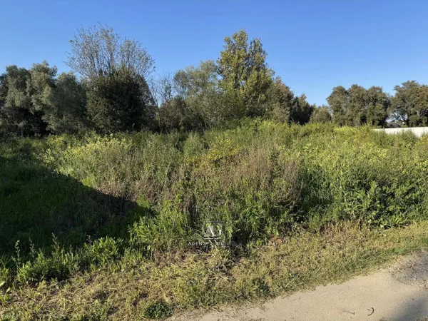 Terrain à bâtir Vente Solaro   71500€