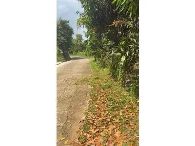 TERRAIN PLAT À VENDRE 1230 m2SAINTE-MARIE
