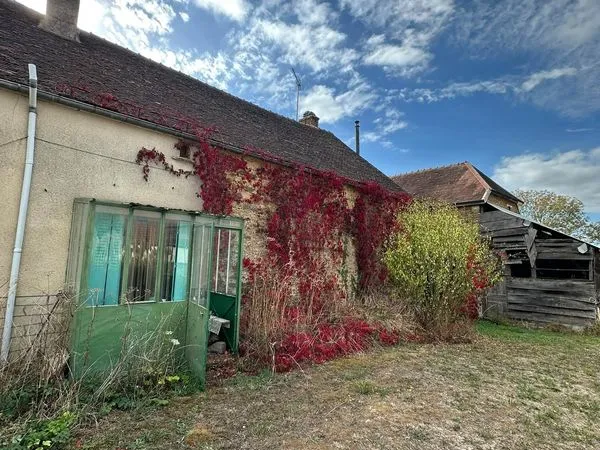 PRUSY MAISON DE VILLAGE 100m2 HABITABLES ET DEPENDANCES SUR TERRAIN 1 HECTARE