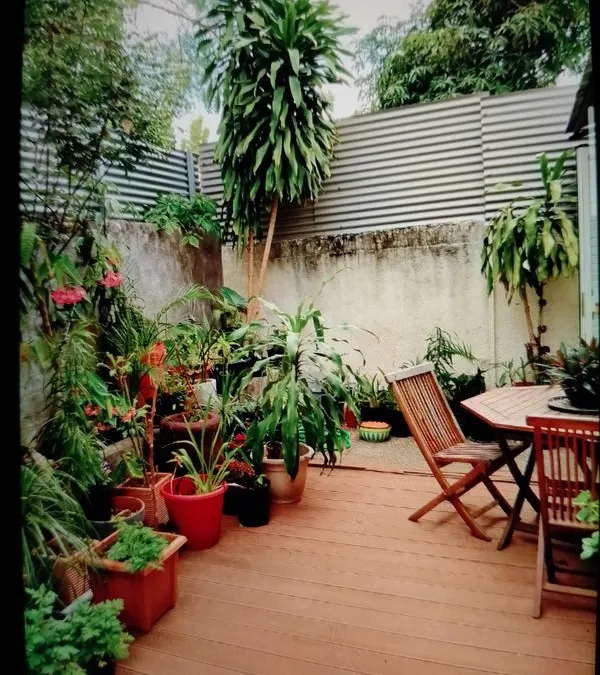 Photo 3
