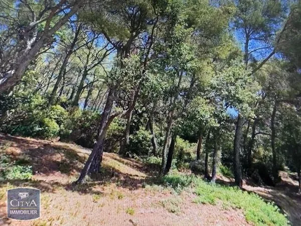 Terrain 2920 m²