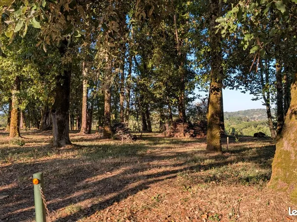 Terrain constructible