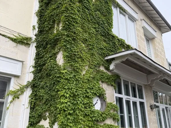 Vends grande maison familiale - 6 chambres, 300m², Bordeaux (33)