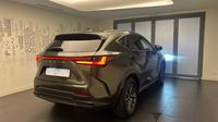 Lexus Nx 450h+ Luxe 4WD MY24 — photo 5