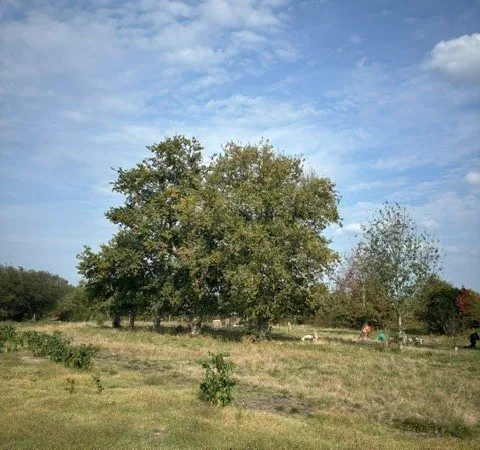 Terrain à bâtir de 701 m² avec 25 % d'emprise...