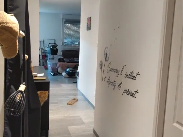 Appartement à louer F3