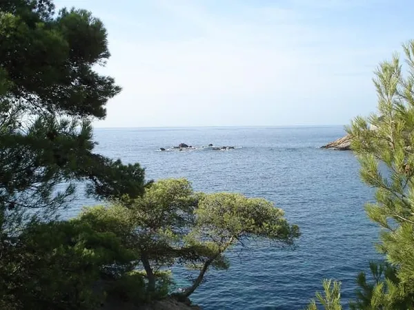 Studio de 36m2 à louer sur Sausset-les-Pins