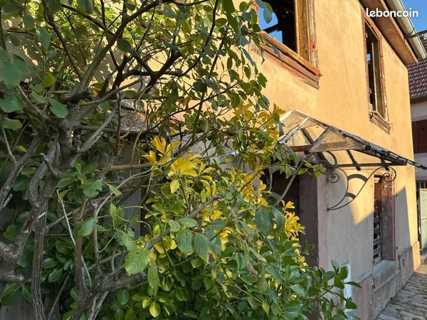 Maison de ville à réhabiliter, volumes et cachet