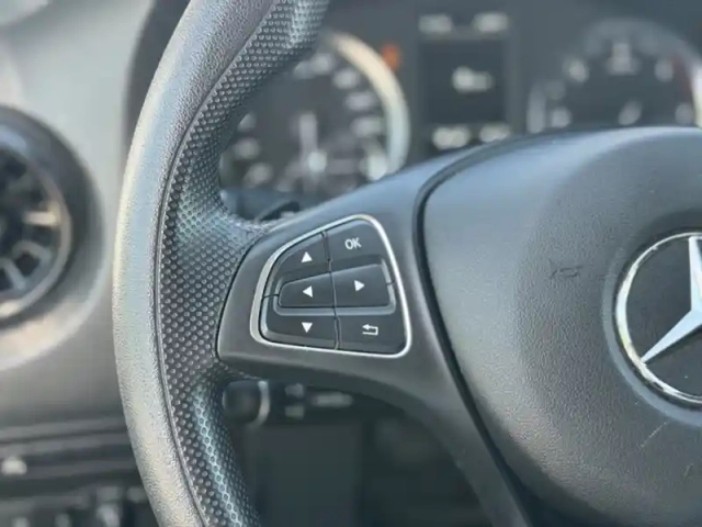 Mercedes Vito 114 cdi fourgon long pro 9g-tr — photo 17