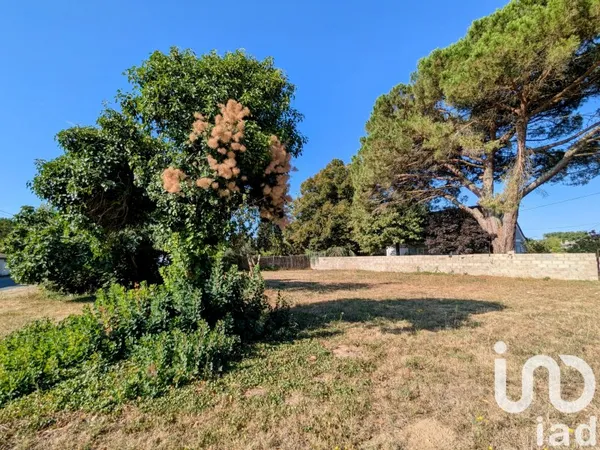Terrain 730 m²