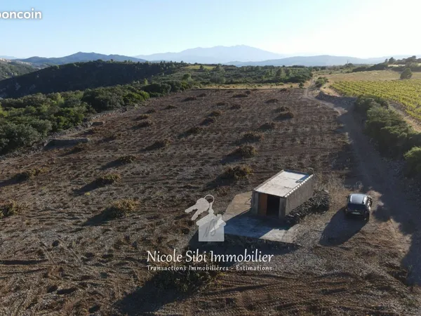 Terrain 15030 m² Tautavel