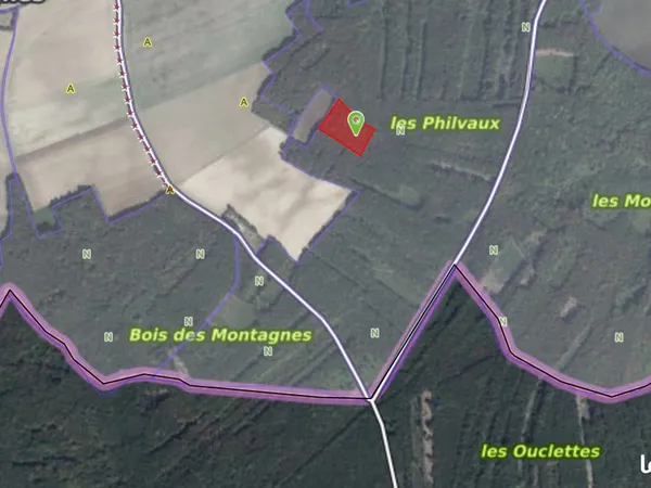 Terrain 11129 m² BOUHY