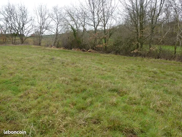 Terrain de loisir 1.2 hectare
