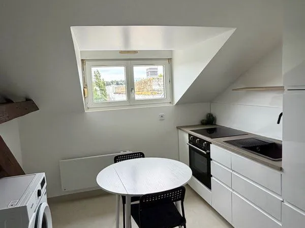 T2 meublé 24 m² rénové avec cave + parking - Mulhouse rue de Bâle