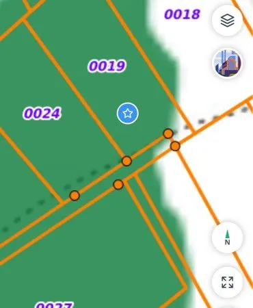 Location terrain forestier agricole ou loisir