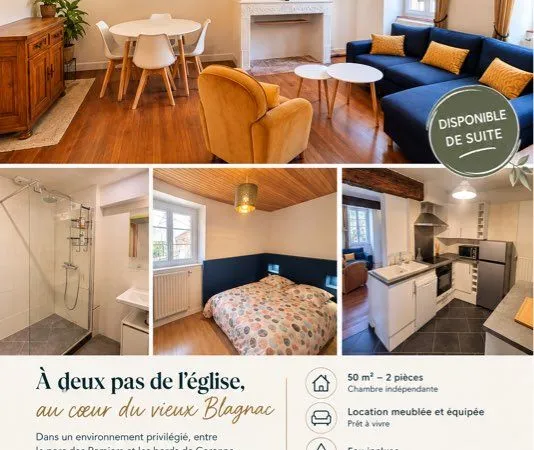 T2 meublé de charme - 50 m² - Vieux Blagnac / Ramiers - 920 tout compris