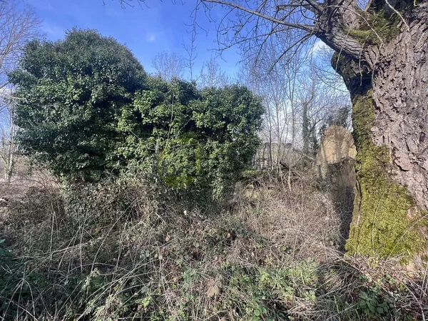 Maison en ruine sur 2383m2