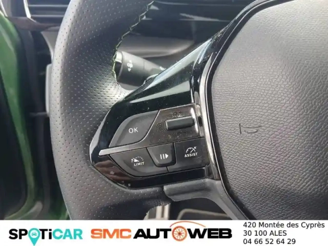 Peugeot 308 phev 225 e-eat8 — photo 40