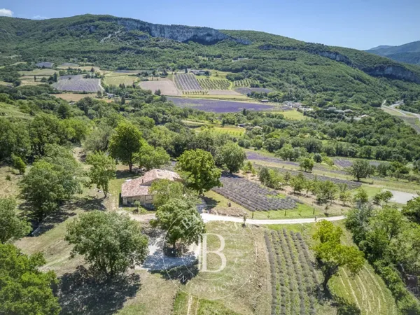 Barnes - Mas ancien rénové avec vue exceptionnelle - 9ha lavande