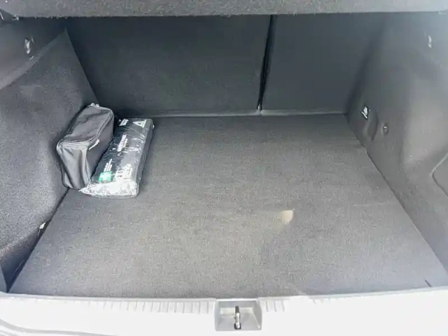 Dacia Duster eco-g 100 4x2 — photo 12