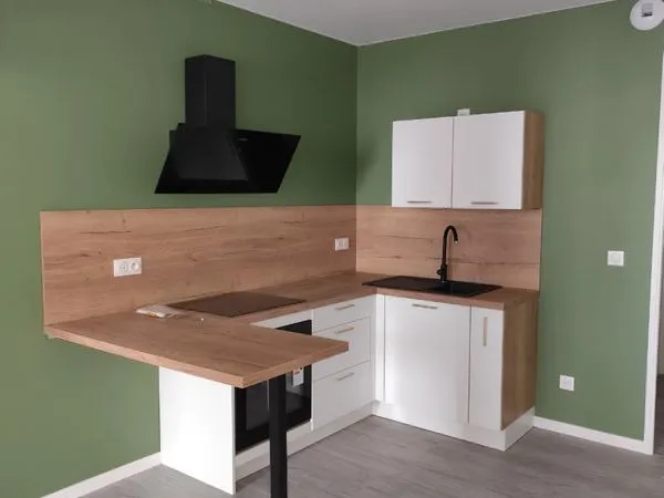 Appartement refait à neuf - ROANNE