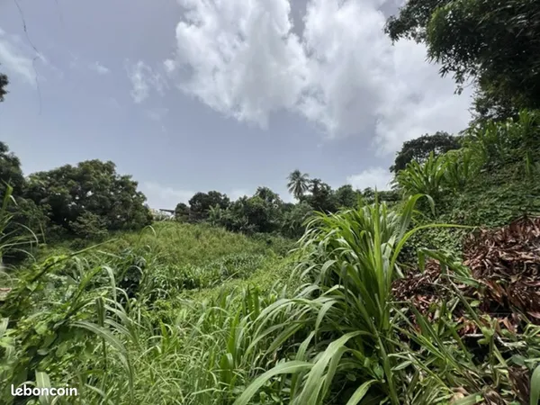 Terrain 1 345 m² Riviere Salee