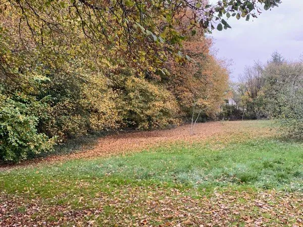 Terrain constructible arboré