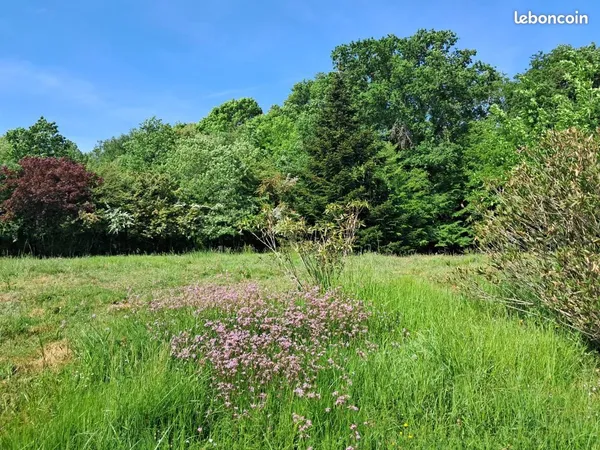 Terrain 500 m² Montussan