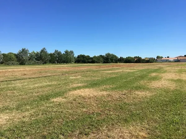 Terrain 310 m²