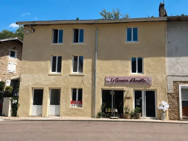 LOCAL COMMERCIAL À LOUER — 53,3 m² en RDC