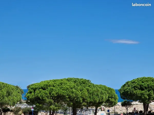 Location port argeles