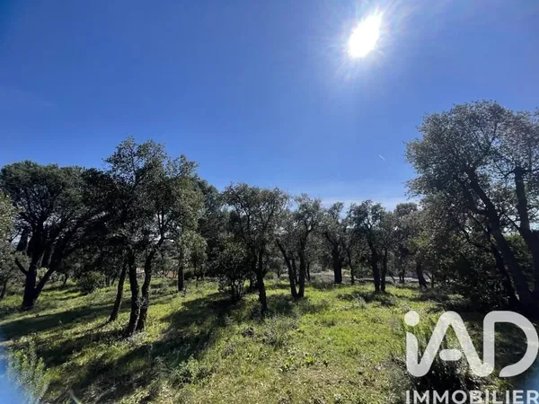 Terrain 3231 m²