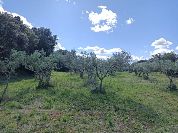 Terrain 1764 m²