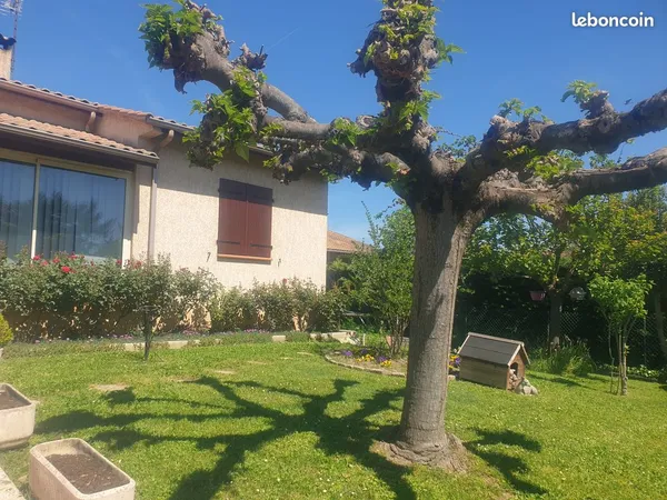 Maison 3 chambres avec jardin à Aucamville