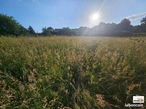 Terrain 2 037 m² Chateauneuf La Foret