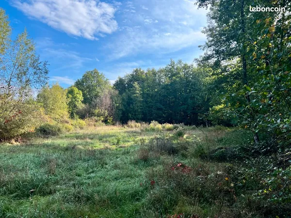 À VENDRE - BEAU TERRAIN DE 6 013 m² - CADRE IDYLLIQUE POUR LES AMOUREUX DE LA NATURE
